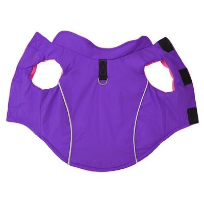 China  				New Arrival Soft Windproof Small Dog Coat 	         for sale