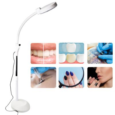 China High Quality Wholesale Dental Plastic Aligan Equipment 2X LED Enlargement Lamp With Cosmetic Tattoo Enlarger For Beauty Salon for sale