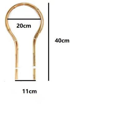 China Bamboo Frame Plant Support Garden Support Flower Arrangement Bamboo Loop Stakes For Climbing Plants for sale