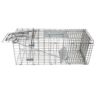 China Large Live Animal Trap Catch Release Viable Humane Rodent Cage Collapsible Humane Bird Trap Cage For Raccoons Groundhogs for sale