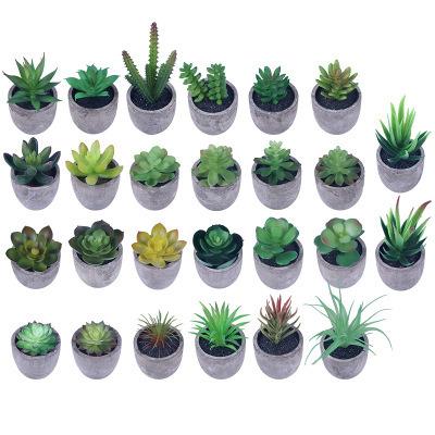 China Potted Succulents Plants Minimalist Bonsai Cactus Plants Garden Greenery Faux Succulents For Home Decor for sale