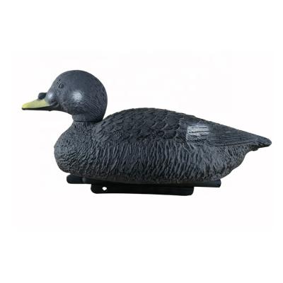 China Plastic High Emulational Decoy Old Surf Scoter Torch Duck Hunting Duck Decoys for sale