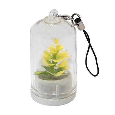 China Eco-friendly Mini Greenhouse Plastic Tiny Succulent Cactus Plant Key Chain Mini Greenhouse Plastic Cactus Plant Key Chain for sale