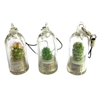 China Succulent Cactus Live Terrarium Keychain Accessory Cactus Needle Bonsai of Live Terrarium Plant Baby Eco-Friendly Necklace for sale