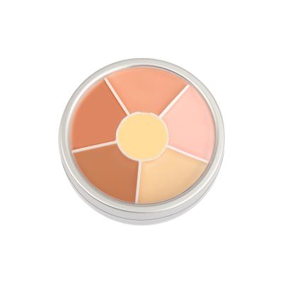 China Sunscreen Non-logo wholesale makeup 6 color concealer makeup private label natural concealer pencil for sale