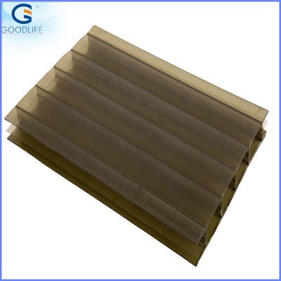 China Factory Direct Sale Strong Lightweight Twin-wall Transparent Polycarbonate Hollow Sheet for sale