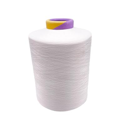 China Factory direct sales viable white flame retardant polyester yarn DTY 75D-600D for sale