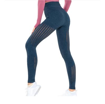 China Wholesale Breathable Aola Spandex Yoga Pants Women Sports Gym Use Seamless Mesh Gaiters for sale