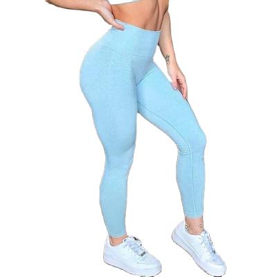 China Black Gold Color Breathable Rushed Light Blue Color Sports Bras Fitness And Yoga Wear for sale