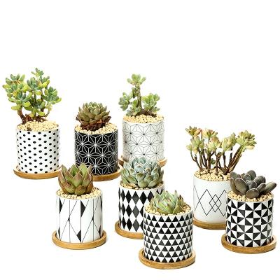 China Cheap Wholesale Flower Pots Ceramic Planters Modern Factory Direct New Design With Bamboo Mat For Home And Garden Decoration for sale