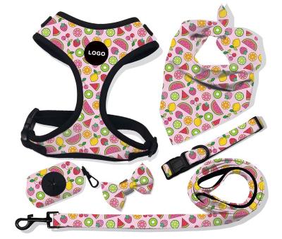 China New Arrival Design Padded Pet Harness Set 2023 Custom Dog Harness Personalized Luxury Pet Harness for sale