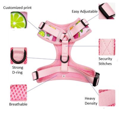 China Padded Adjustable Comfortable Harness Set Pampers Accessories Harness for sale