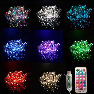 China Copper Wire Light Factory New USB LED Copper Wire String Waterproof Remote Control Lamp for sale