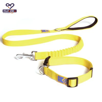 China Fashion Personalized Customization Customized S, M, L Size Nylon Rope Slip Dog Leash For Walking And Trainning The Dog for sale