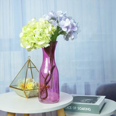 China American Style Best Selling Clear Color Cheap Glass Garden Vase Flower Plant Glass Vase For Home Decoration for sale