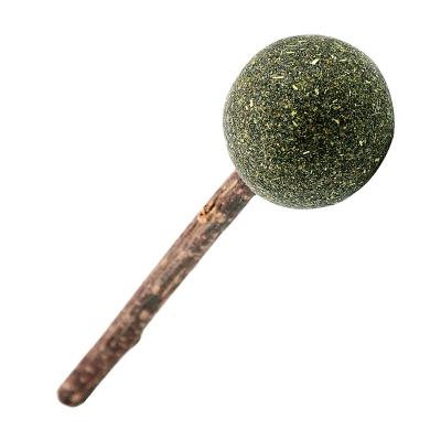 China Sustainable Pet Nip Lollipop Kauen Candy Clean Mint Ball Toy Tease Silvervine Stick Food Treats Snack for sale