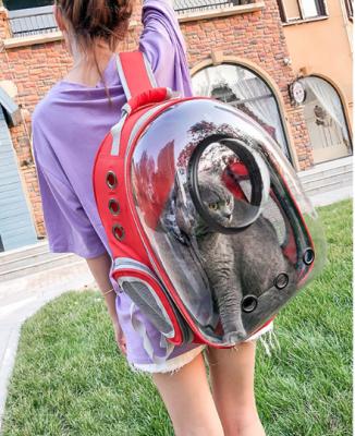 China Breathable Drop Shipping Airline Breathable Durable Backpack , Bilateral Ventilation Holes Shape Carrier Pet Bag for sale