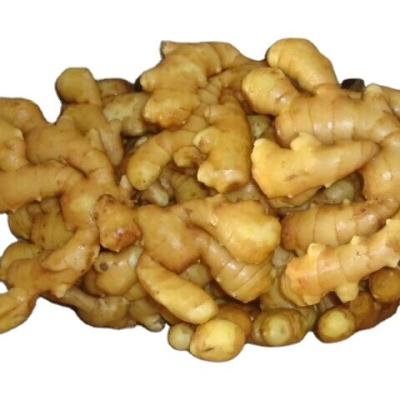 China Fresh Chinese Ripe Super Ginger for sale