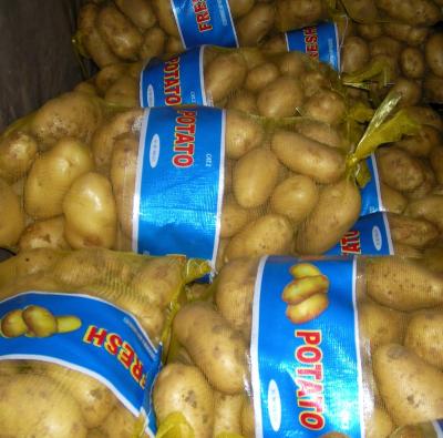 China Fresh new crop china fresh potato in mesh bag for sale