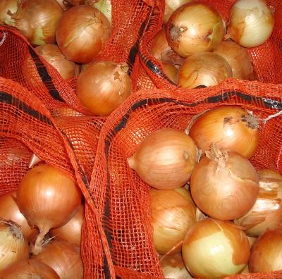 China fresh fresh chinese onions on promotion for sale