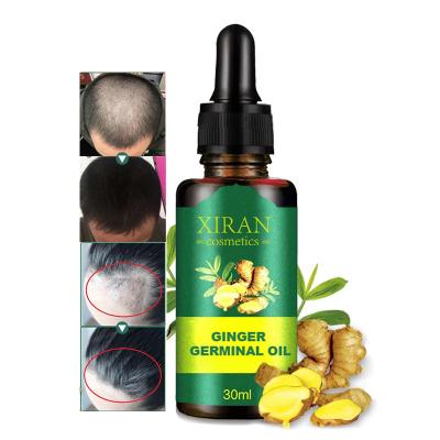 China 30ml Loss Prevention Hair Loss Treatment Serum Hair Oil Nutrient Solution Ginger Hair Growth Oil Natural Organic for sale