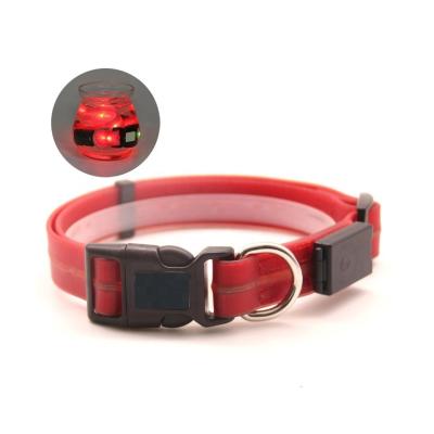 China Safety Nibao Standard Size LED Lights High Qaulity USB Rechargeable Waterproof Led Dog Collar Pet Collar for sale