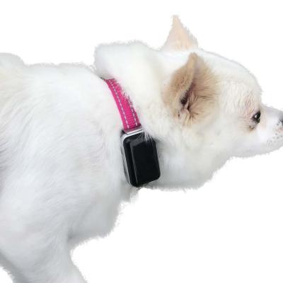 China Pet Loss Customize Pet Health Tracker Waterproof Real Time Animal Location Tracking Dog Pet GPS Tracker for sale