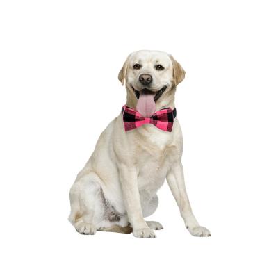 China Popular New Small Lights Pet Collar Plaid Producer Dog Supplies Soft Comfortable Light Bow Pet Collar Four Color Options for sale