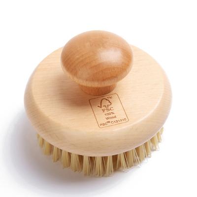 China Sustainable Easy To Clean Dish Brush Kitchen Scrub Sweep Kitchen Cleaning Brush Environmentally Friendly for sale