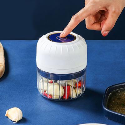 China 250ML Viable Electric Garlic Crusher Kitchen Multifunctional Home Using Usb Charging Mini Garlic Crusher for sale