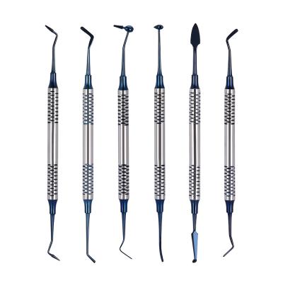 China Convenient Resin Aesthetic Restoration Set Dental Material Oral Filler Set 6 In 1 Stainless Steel Dental Technician Tools for sale