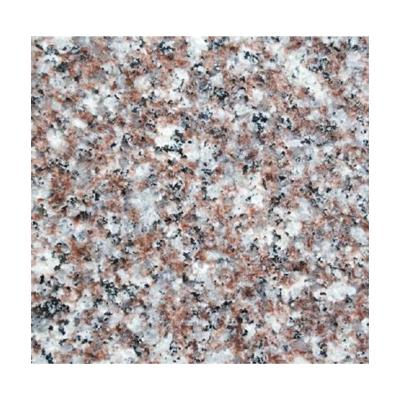 China Modern Classic Stone Wall G664 Natural Granite For Flooring for sale