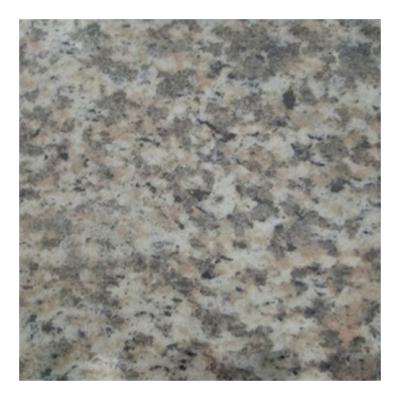 China Modern Style Custom High Quality Natural Stone Absolute Beauty Pure Flooring Granite Tiles for sale