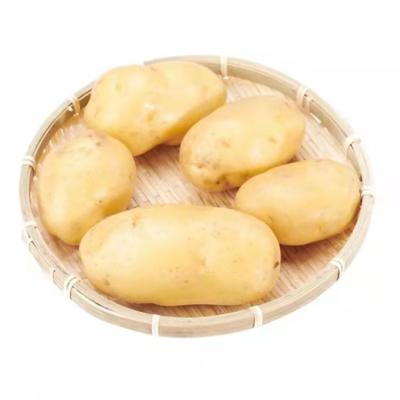 China Custom Ripe Material Fresh Chilled Potato Packaging Weight Natural Paperboard Type for sale