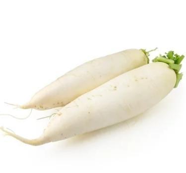 China Wholesale Cheap Price Chinese Fresh White Radish Wholesale for sale