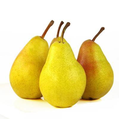 China Chinese New Season Fresh Fruit Fresh Big Ya Pear Supplier for sale