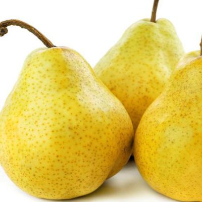 China China Wholesale Fresh Pear Sweet Pear Fruit Pear Exporters for sale