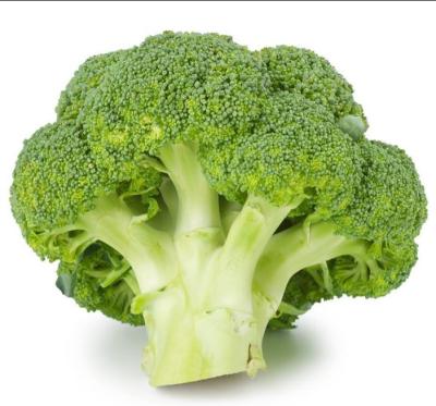 China Lush Fresh Cruciferous Vegetables Export International Certification China Fresh Broccoli for sale