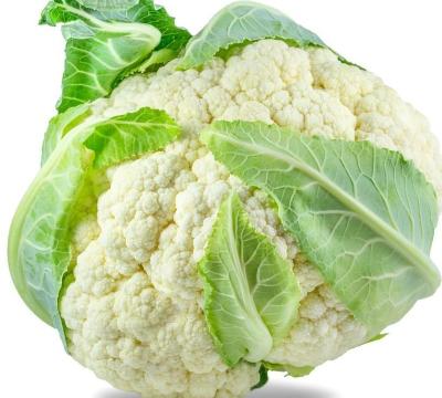 China Factory Direct Fresh White Clean Cauliflower for sale