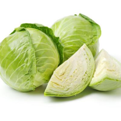 China Fresh the latest fresh cabbage in 2022, available in a variety of ways for sale