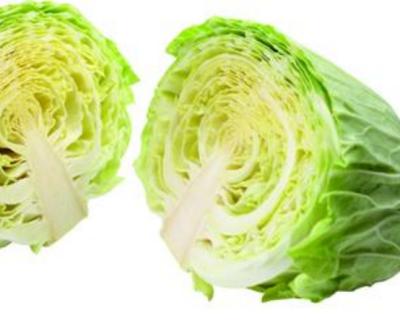 China Organic food factory direct sale Chinese green organic nutrition cabbage, welcome bulk purchase for sale