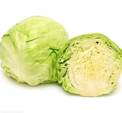 China Fresh factory direct commercial light green cabbage comes from China for sale