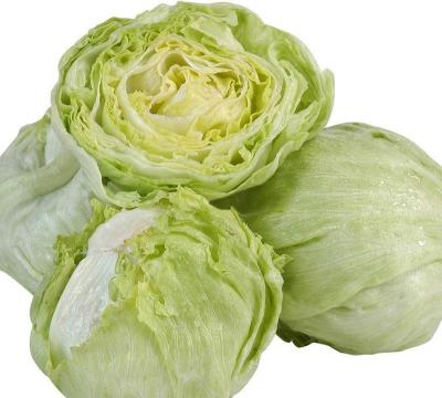 China Fresh factory direct commercial tight cabbage comes from China for sale