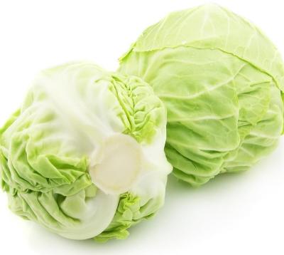 China Organic food factory direct commercial delicious cabbage comes from China for sale