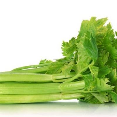 China Juicy sale of best green, fresh juicy and vitamin-rich parsley at the best price for sale