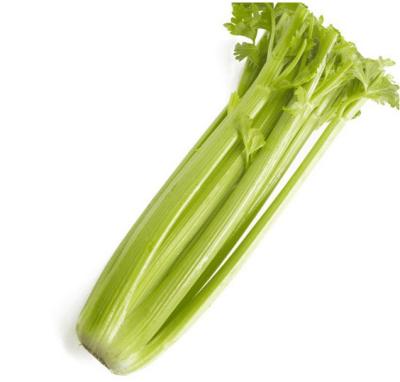 China Juicy export quality, fresh and unpolluted celery at a low price for sale