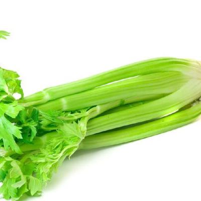 China Wholesale Sale Juicy Detonation Organic Green Vegetables, Fresh Healthy Green Chinese Celery In 2022 for sale