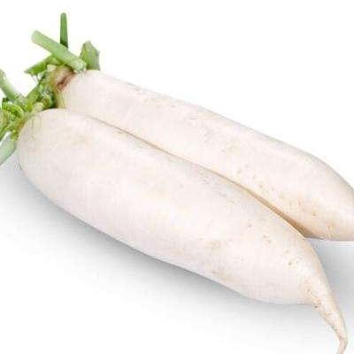 China Wholesale Cheap Price Chinese Fresh White Radish Wholesale for sale