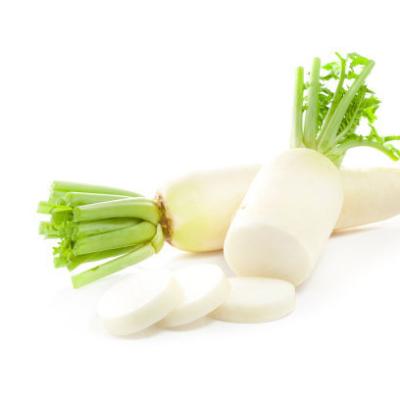 China Hot selling fresh fresh, natural and unpolluted white radish, export the best quality, cheap price for sale