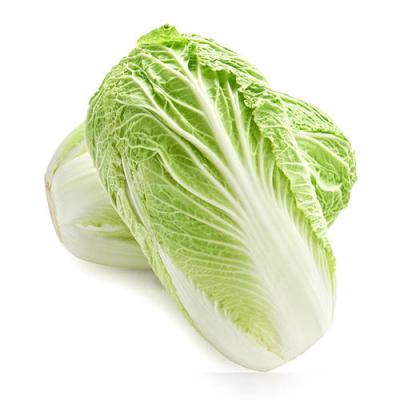 China Fresh fresh cabbage, the latest cultivation of sweet and healthy wholesale for sale